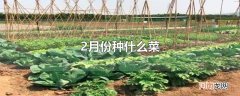 2月份种什么菜