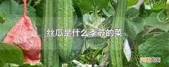 丝瓜是什么季节的菜