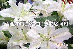 百合花可以放在睡觉的房间吗 百合花不可以放在睡觉的房间