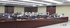 平安办是什么部门