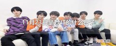 11月23日是TNT的什么日子
