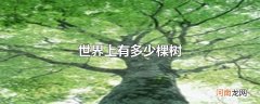 世界上有多少棵树