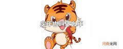 虎年也叫什么年