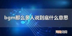 bgm那么多人说到底什么意思 bgm是背景音乐简称