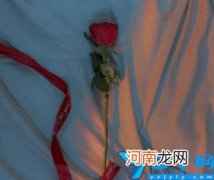 含蓄夸人赞美人的词汇 夸人的优点有内涵的词语