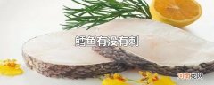 鳕鱼有没有刺