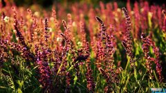 四年一次2.29微信创意说说 2月29日发朋友圈的个性说说