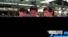 河南单招最新时间 河南二批录取结果查询时间