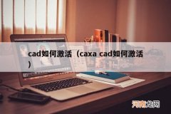 caxa cad如何激活 cad如何激活