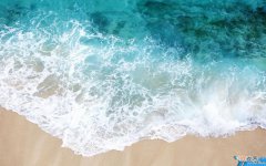 大连私立幼儿园收费标准明细表2020 大连市公立幼儿园收费标准