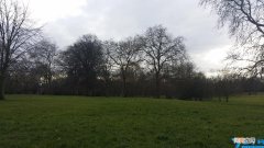 正规的电竞学校有哪几家 国内有哪些电竞学校