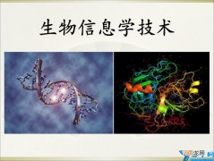 生物信息学考研院校排名2022 生物信息学研究生专业大学排名