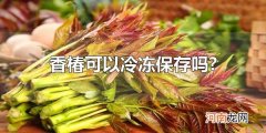 香椿可以冷冻保存吗? 香椿可以冷冻保存