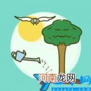 幼儿园植树节的活动策划 幼儿园植树节活动方案设计