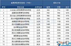 四川单招公办学校有哪些 四川单招公办学校有哪些好考