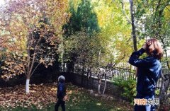 美白牙膏排名前十名 美国美白牙膏排名第一