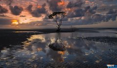 总经理个人工作报告 总经理年度工作报告