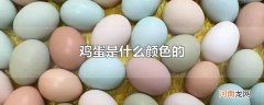 鸡蛋是什么颜色的