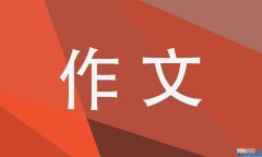 小学海底两万里作文600字 我读海底两万里作文600字