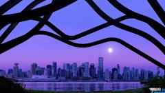 赞美竹子精神的诗句 赞美竹子精神的诗句二年级