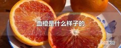血橙是什么样子的