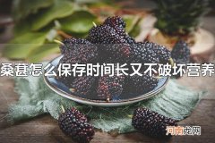 桑葚怎么保存时间长又不破坏营养 桑葚的应用
