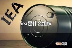 iea是什么组织 iea是国际能源机构