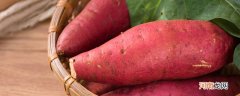 红苕是什么 红苕是什么东西
