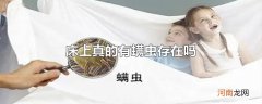 床上真的有螨虫存在吗