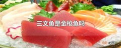 三文鱼是金枪鱼吗