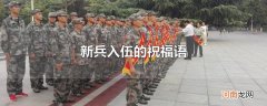 新兵入伍的祝福语