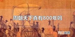 周朝天下真有800年吗 周朝存在时间是什么时候