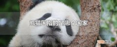 熊猫国指的是哪个国家