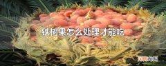 铁树果怎么处理才能吃
