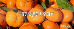 橘子起源于哪个国家