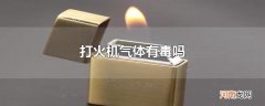 打火机气体有毒吗