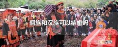 侗族和汉族可以结婚吗