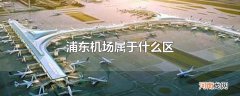 浦东机场属于什么区