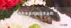 海参失去内脏后不会死
