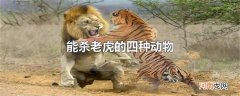 能杀老虎的四种动物