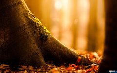 幼儿一日活动方案 幼儿一日活动方案户外活动