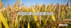 南稻北粟还是南粟北稻