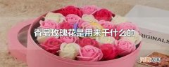 香皂玫瑰花是用来干什么的