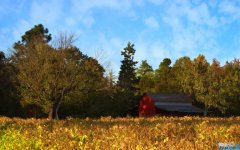 美容店的营销活动方案 美容店策划活动