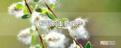柳絮的主要成分