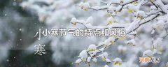 小寒节气的特点和风俗