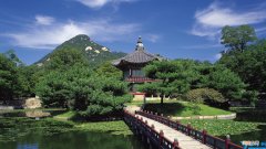 有关茶的经典诗句 有关茶诗词名句