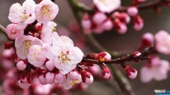 常用对偶句340句大全 对偶句10个