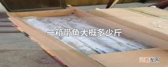 一箱带鱼大概多少斤