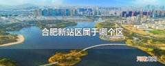 合肥新站区属于哪个区